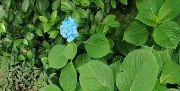 缓解高考前焦虑小技巧