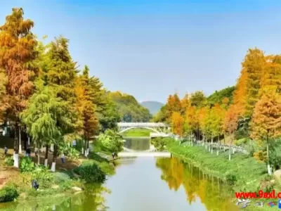 中学生厌学的主要表现有哪些，原因