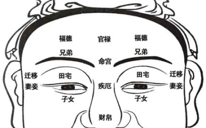 面相十二宫