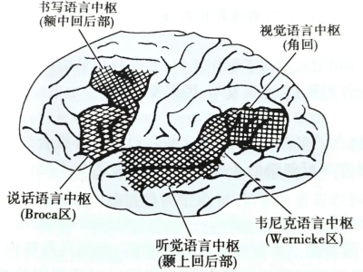 精神症状学——语言及其他形式的思维障碍