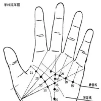 识人之手相--基础知识普及