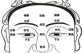 面相十二宫