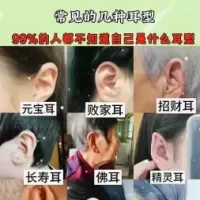 常见的几种植耳型