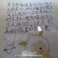 网上流传的小学生情书