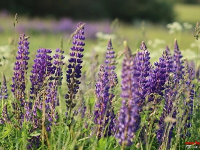 服用抗焦虑和抑郁的药物-为自己选择负责