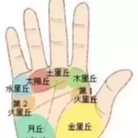 识人之手相学——手相图解大全