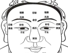 面相十二宫