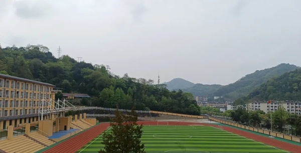 青少年自杀的成因与预防