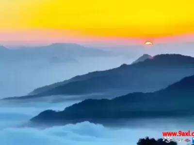 家长如何引导孩子由厌学变为乐学：中小学学生心理问题识别与应对方法