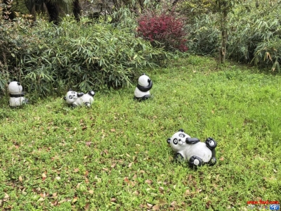 提升孩子自信心的20个方法