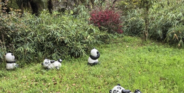 提升孩子自信心的20个方法