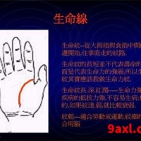 掌中纹线基础知识