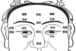 面相十二宫