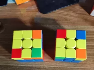 认识小鱼1和小鱼2